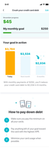Progress screen showing this month's progress toward the goal, a projected payoff chart, and a 3-step 'How to pay down debt' strategy